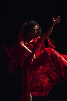 Ultra High Flamenco 2017 D